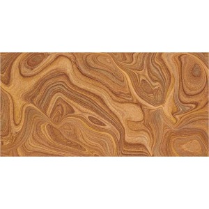 Gạch ốp tường Trường Thịnh WALL TILES AE631202